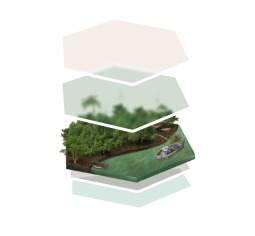 Token Indii img